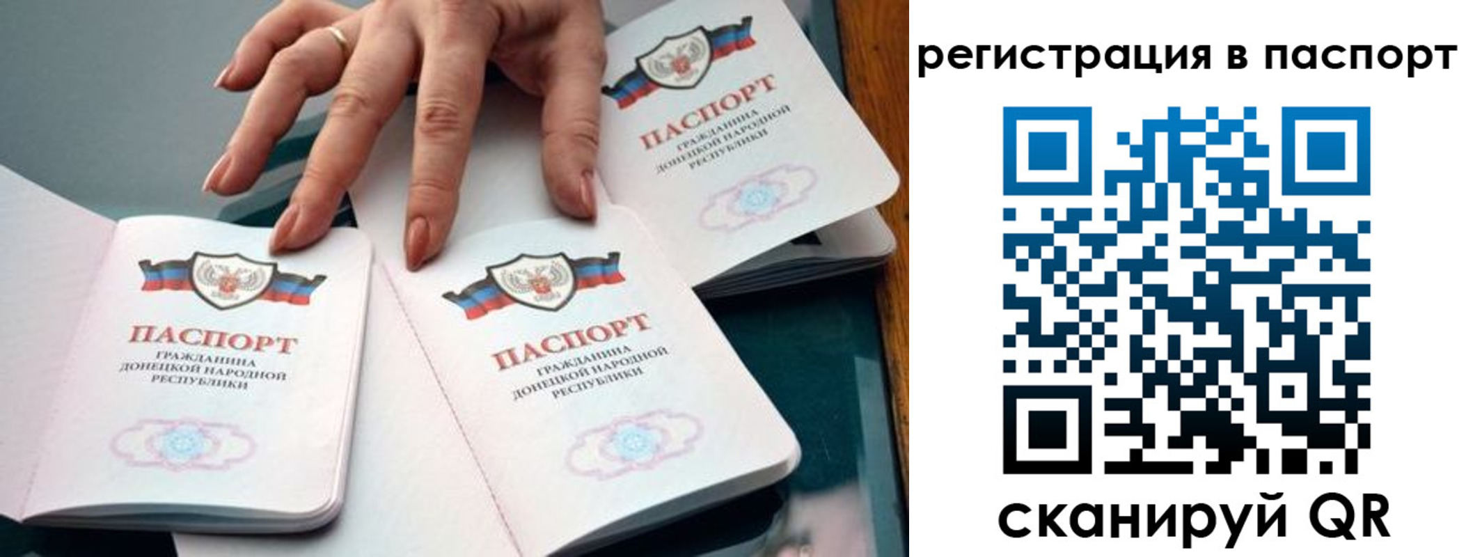 где прописаться в Светлом